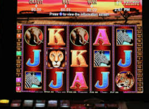 壹号平台app2024最新版